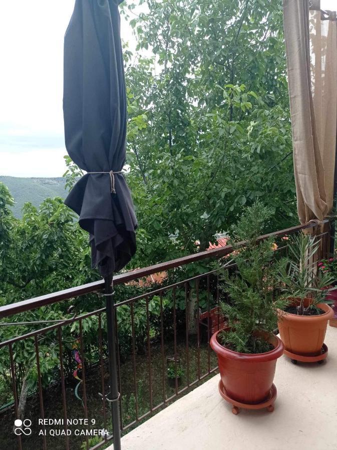 Άγρια Λούλουδα Κατοικία Αρμονία Timfristos Екстер'єр фото