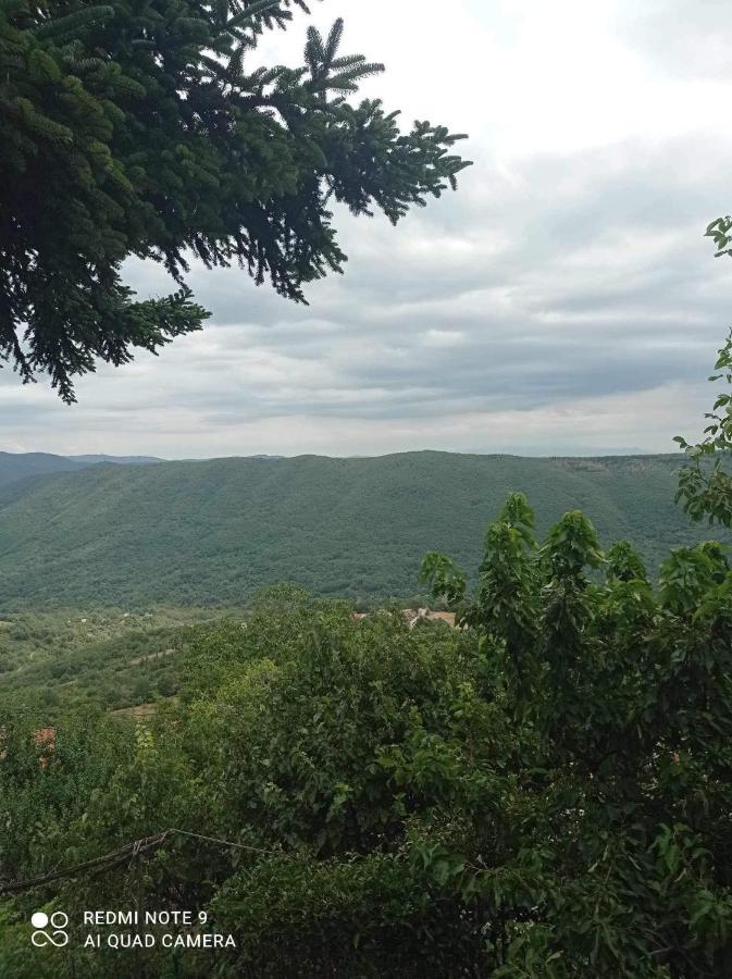 Άγρια Λούλουδα Κατοικία Αρμονία Timfristos Екстер'єр фото