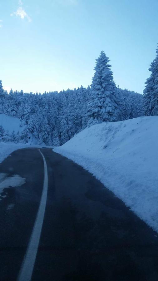Άγρια Λούλουδα Κατοικία Αρμονία Timfristos Екстер'єр фото