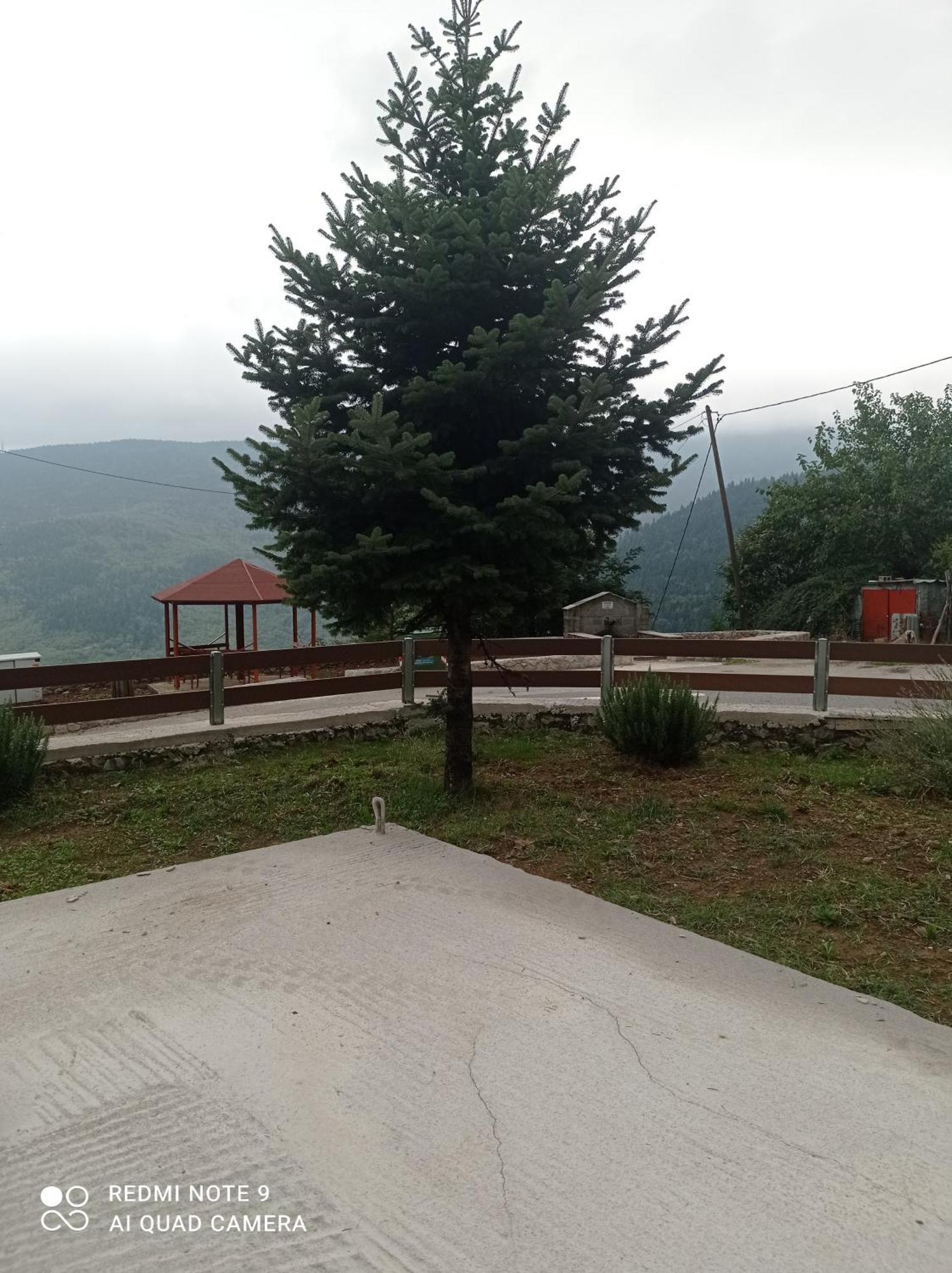 Άγρια Λούλουδα Κατοικία Αρμονία Timfristos Екстер'єр фото