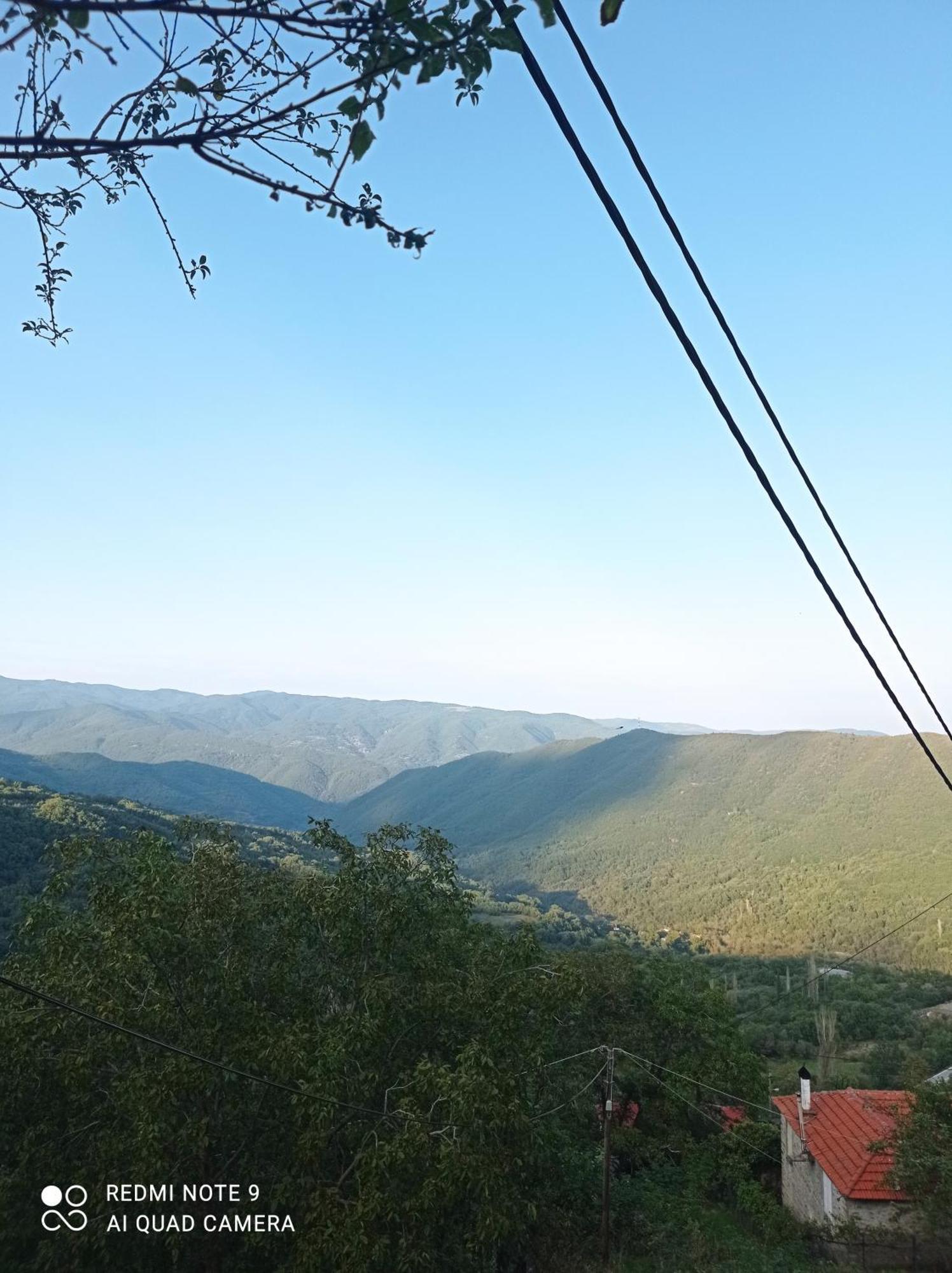 Άγρια Λούλουδα Κατοικία Αρμονία Timfristos Екстер'єр фото